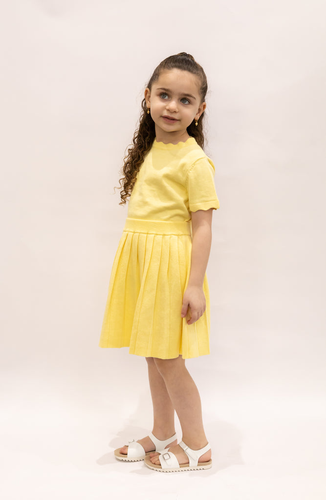 Thin Knit Pleated Skirt Set