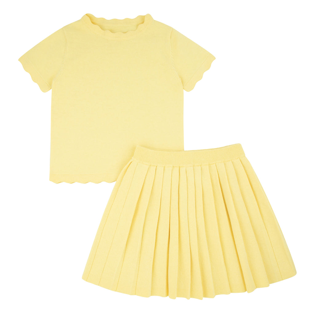 Thin Knit Pleated Skirt Set