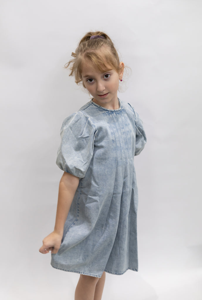 Front Pleat Denim Dress