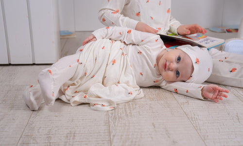 Ladybug Printed Blanket